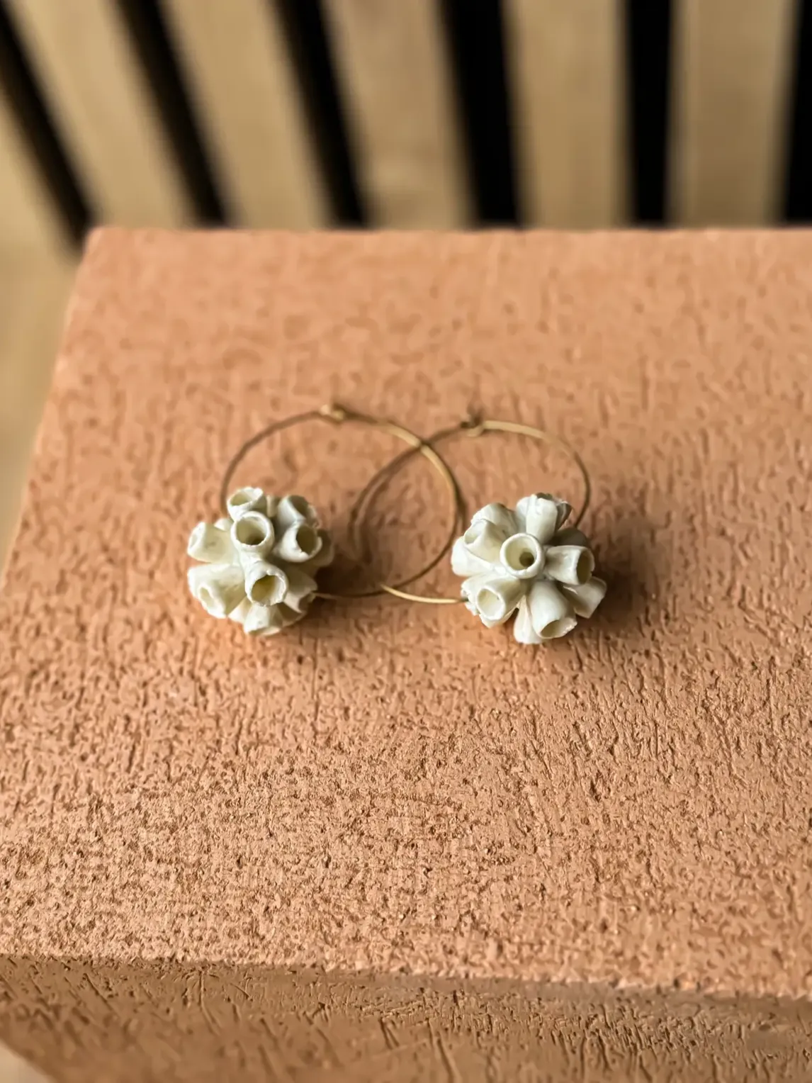 Photo de l'article Larnud