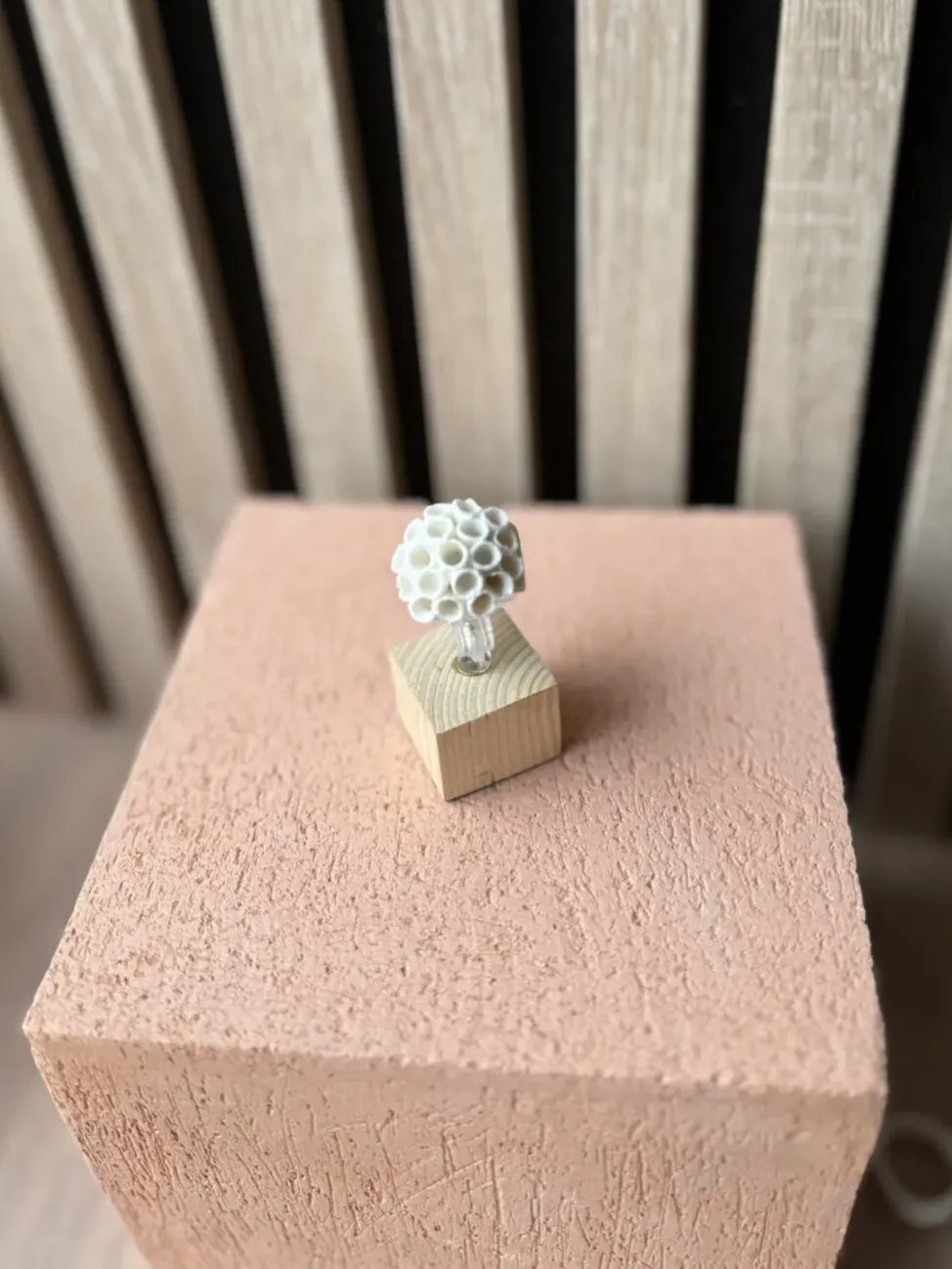 Photo de l'article Marnud