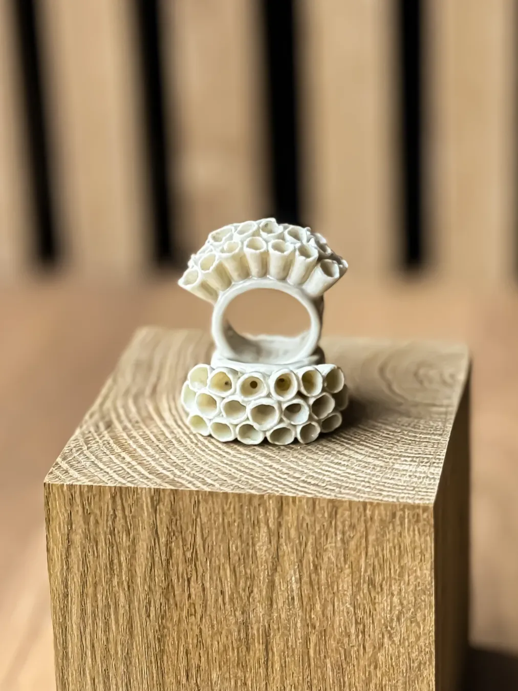 Photo de l'article Chrisnud